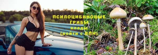 прущая мука Ладушкин