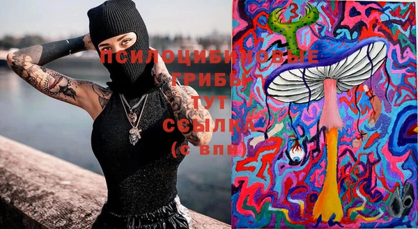 прущая мука Ладушкин