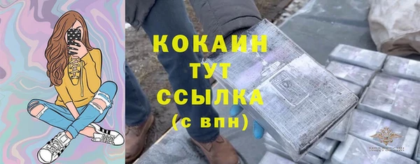 молекула духа Лихославль