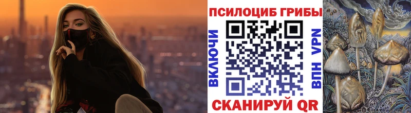 Псилоцибиновые грибы Psilocybe  Купить где  Мариинский Посад 